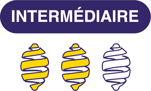 Niveau intermédiaire