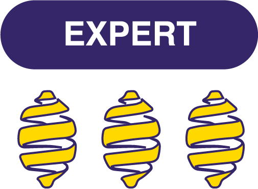 Niveau expert